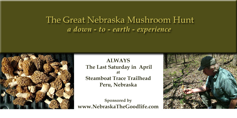 The Great Nebraska Mushroom Hunt, a down-to-earth experience